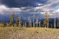 Yellowstone_b4_the_storm.jpg
