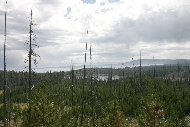 Yellowstone_far_off_fires.jpg