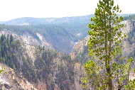 Yellowstone_river_lower_falls2.jpg